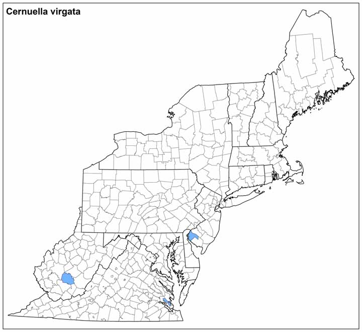 Cernuella virgata Range Map